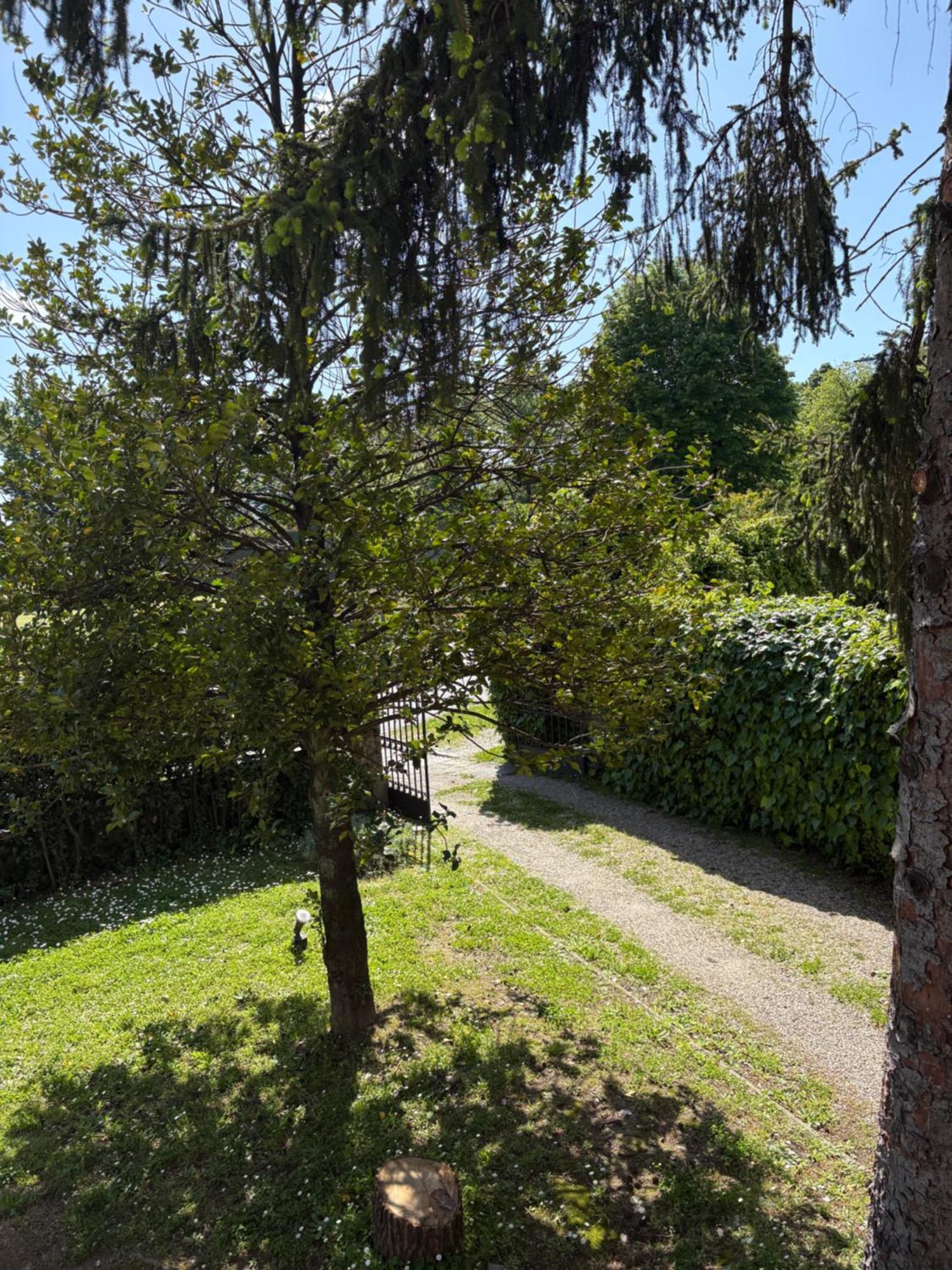 Villa Agnese B&B Lucca Ngoại thất bức ảnh